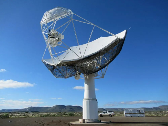 2026.3.1二十四周年6 2026.3.1二十四周年6